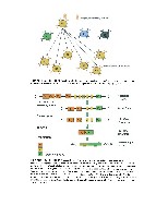 Bhagavan Medical Biochemistry 2001, page 1069